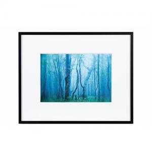 ケンコー ギャラリー 2L ブラック/ホワイト AGY-2L-BW