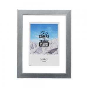 フジカラー フローティーフレーム(メタル調) L シルバー