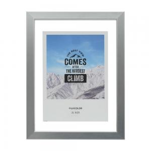 フジカラー フローティーフレーム(メタル調) 2L シルバー