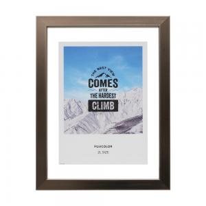 フジカラー フローティーフレーム(メタル調) 2L ブロンズ